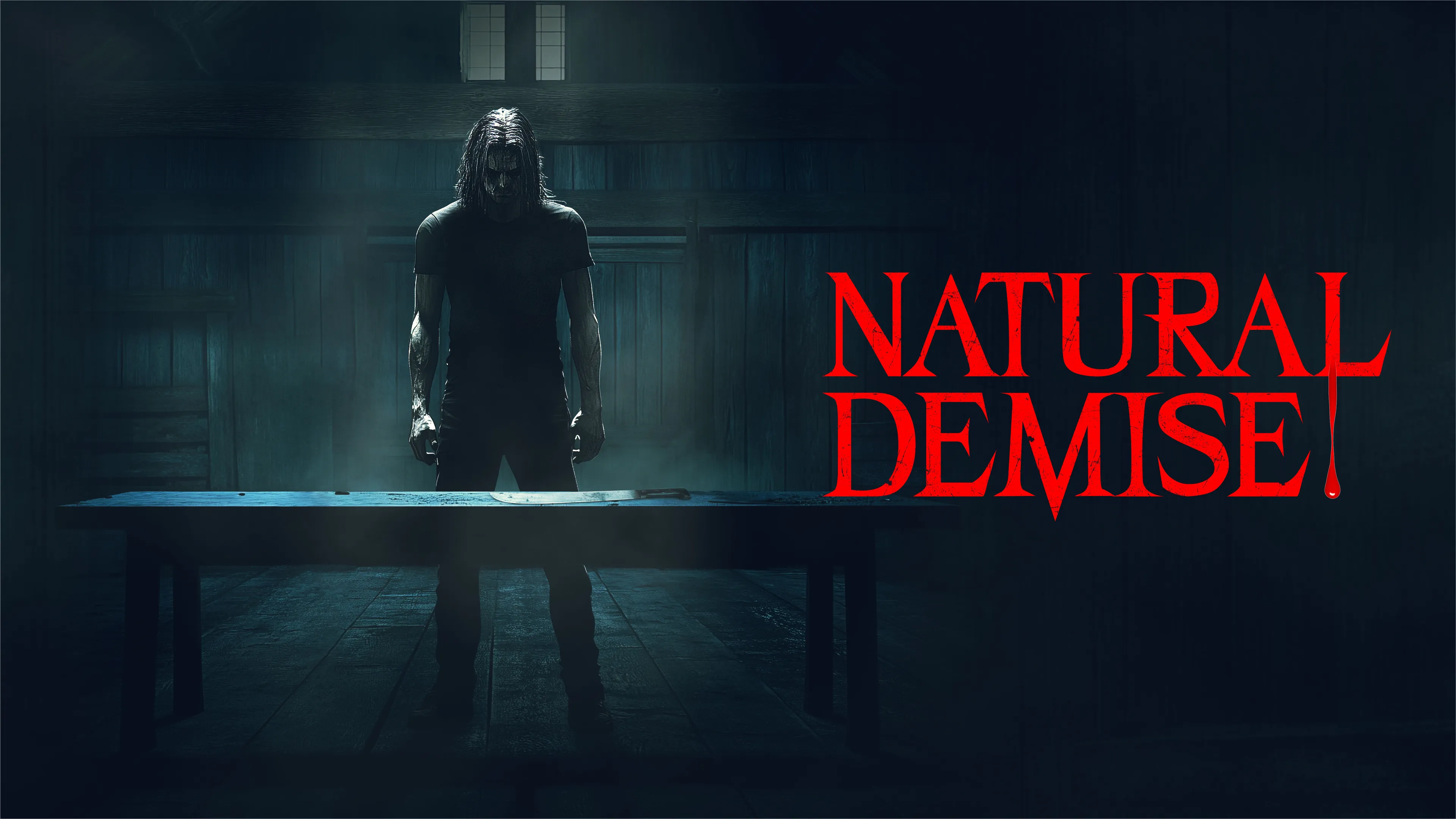 Natural Demise poster
